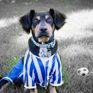 Meet your Posher, Adam